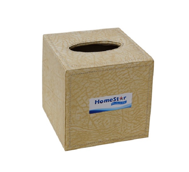Combo 2 Hộp đựng giấy ăn, khăn giấy golden và Homesta