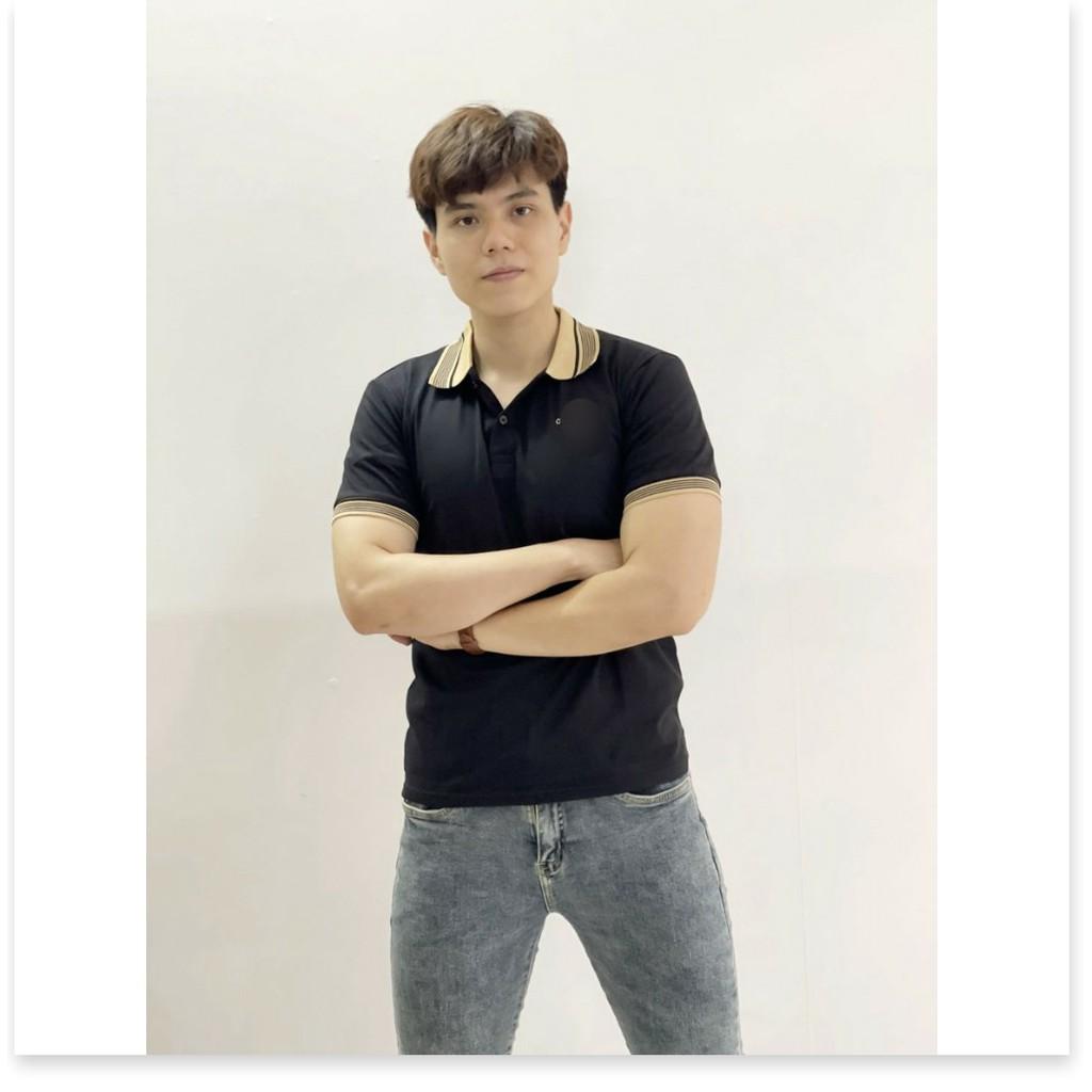 ÁO THUN CỔ TRỤ VIỀN