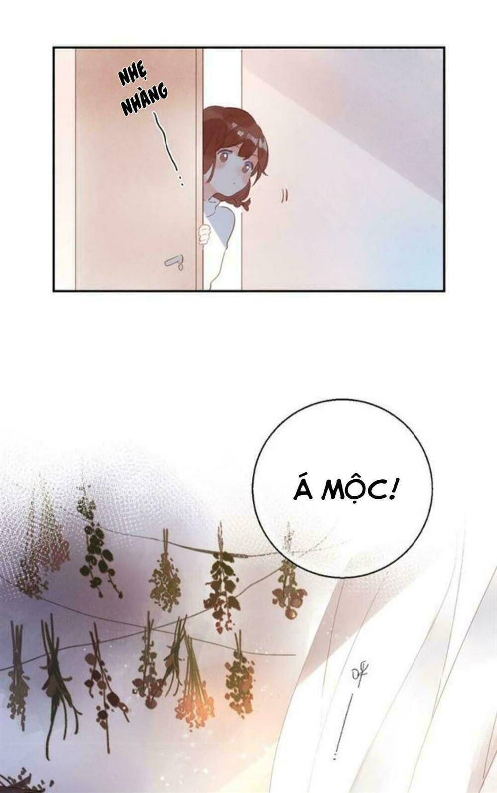 sos! tôi đã yêu một con sâu bướm (phần 2) chapter 55 62