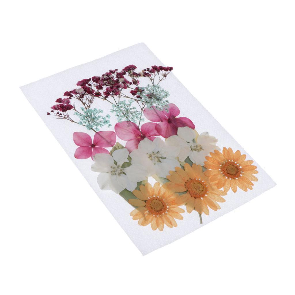 1 Bag Of Real Dried Pressed Flowers Leaves Assorted Colors for Making Greeting Card and Crafts, 2 - 3cm