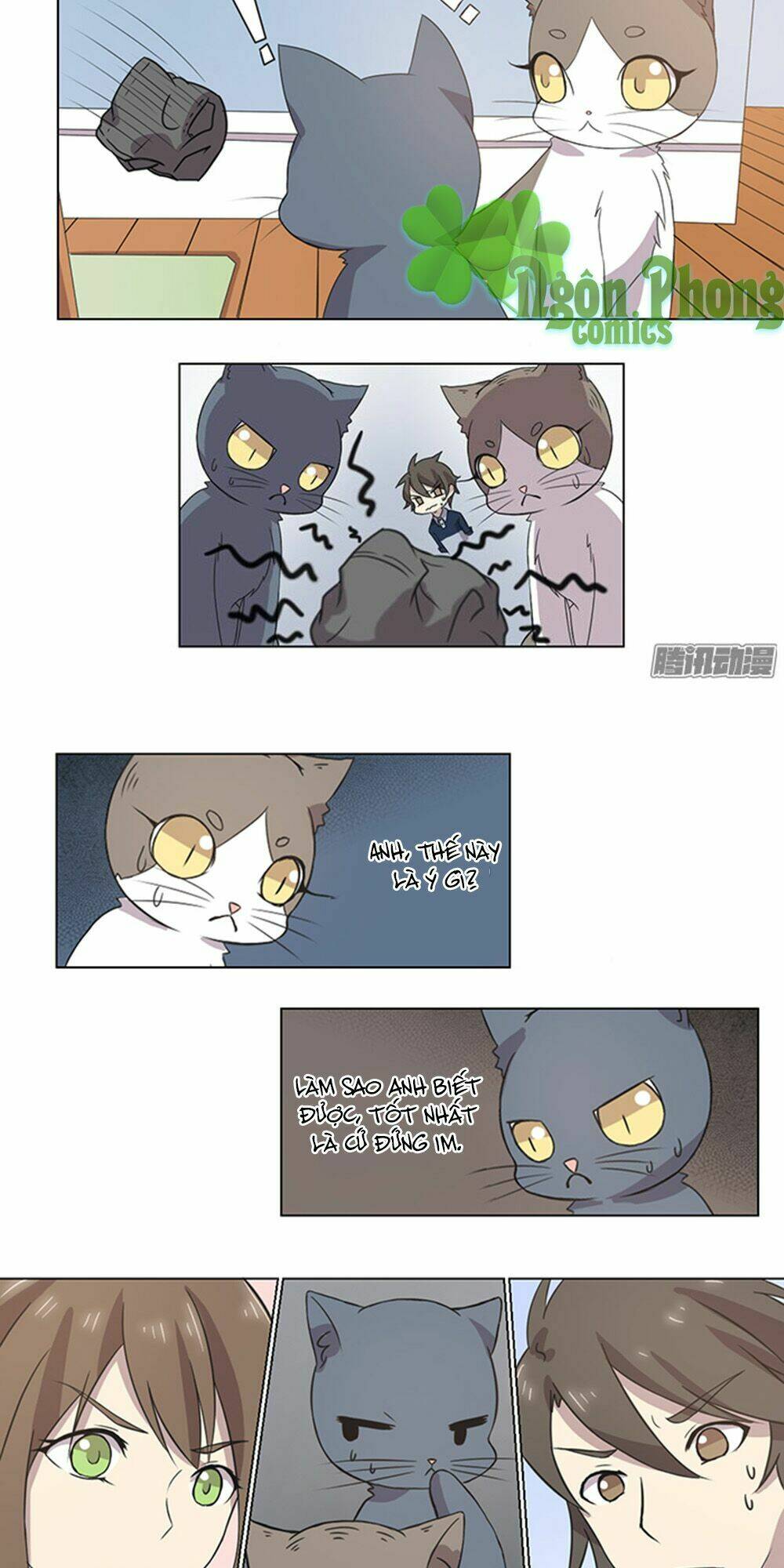 hai chú mèo totem chapter 34 7