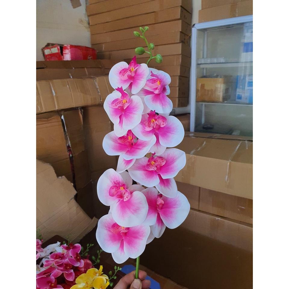 Cành lan hồ điệp giả 9 bông chất cao su non, hàng đẹp.