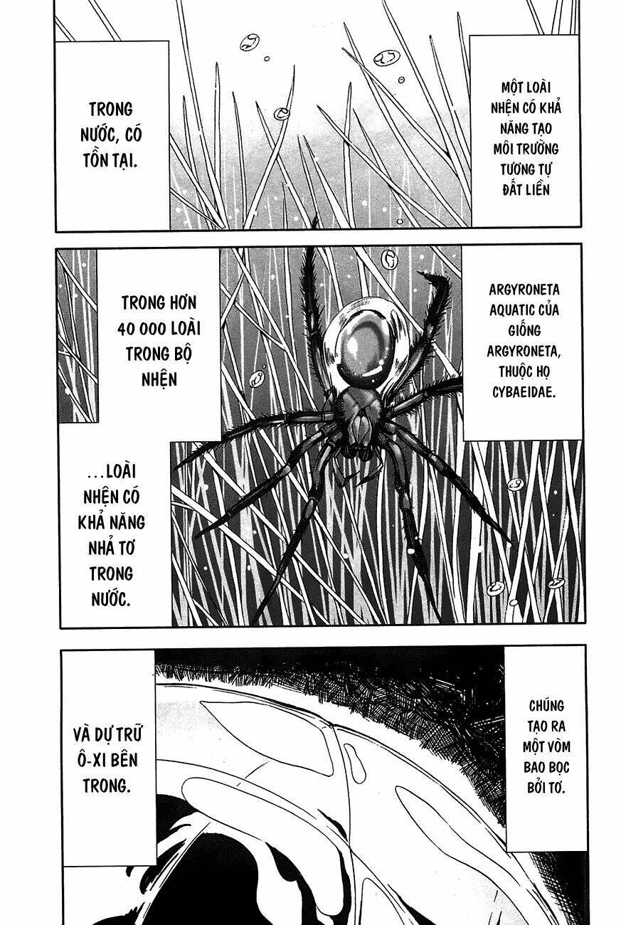 arachnid chapter 20 13