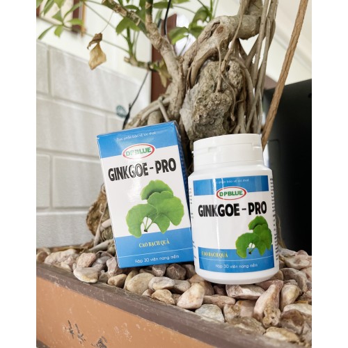 Viên Uống Bổ Não GINKGOE-PRO
