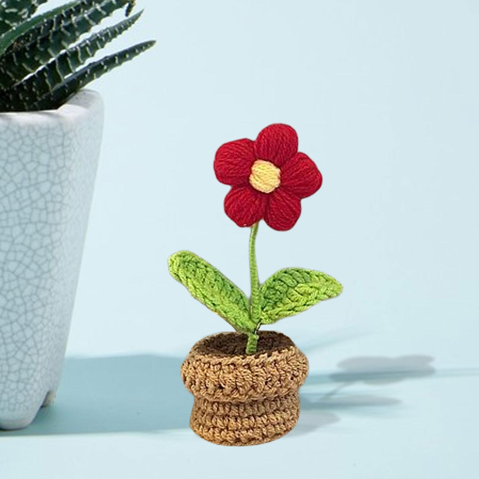 Handmade DIY Beginner Crochet Kit for Adults and Kids Includes Yarn