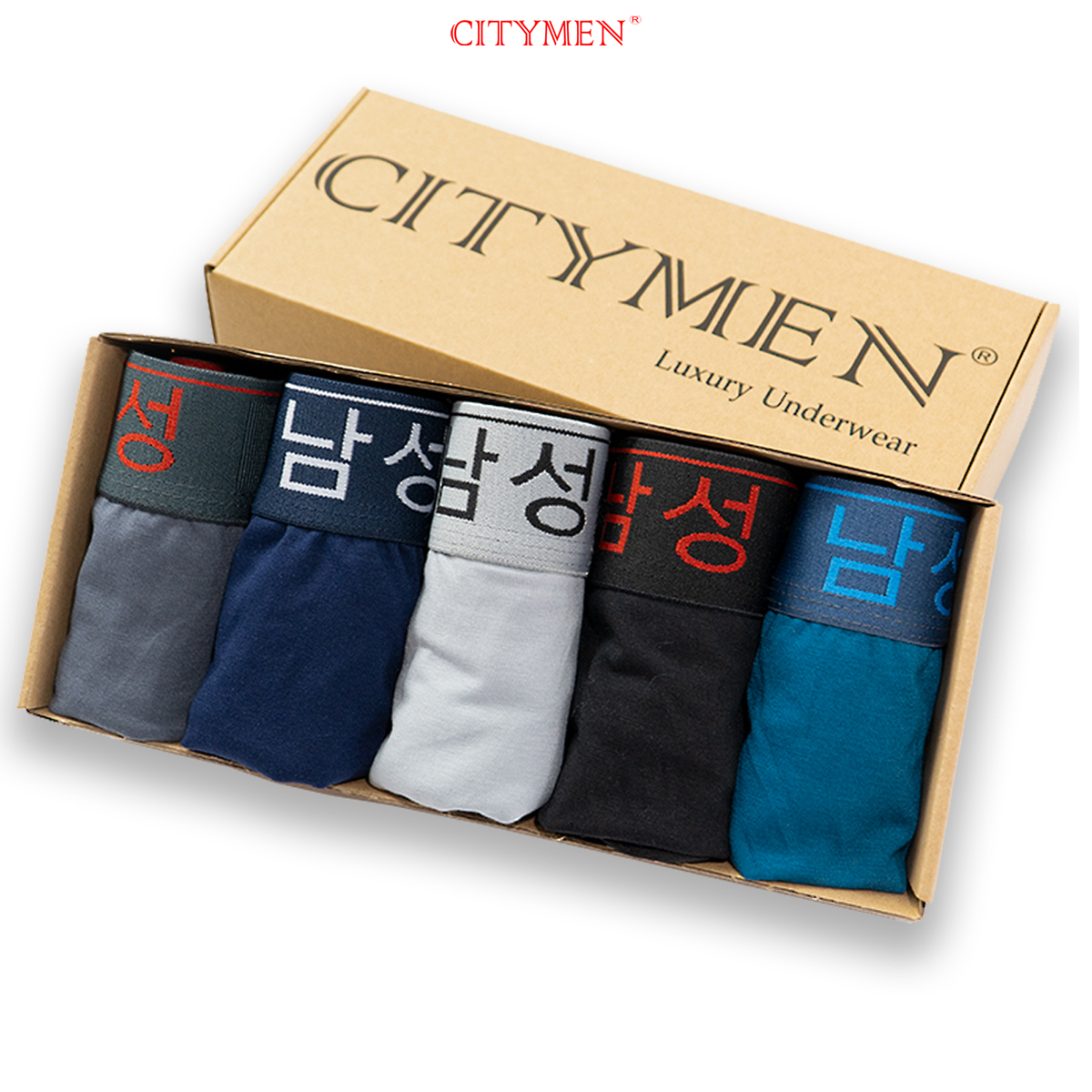 Hộp 5 Quần Lót Nam lưng Hàn Quốc hiệu CITYMEN vải cotton co giãn 4 chiều cao cấp, sịp nam - LMTK-HANAC