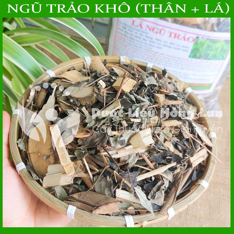 Lá Cây Ngũ Trảo khô sạch đóng gói 1kg