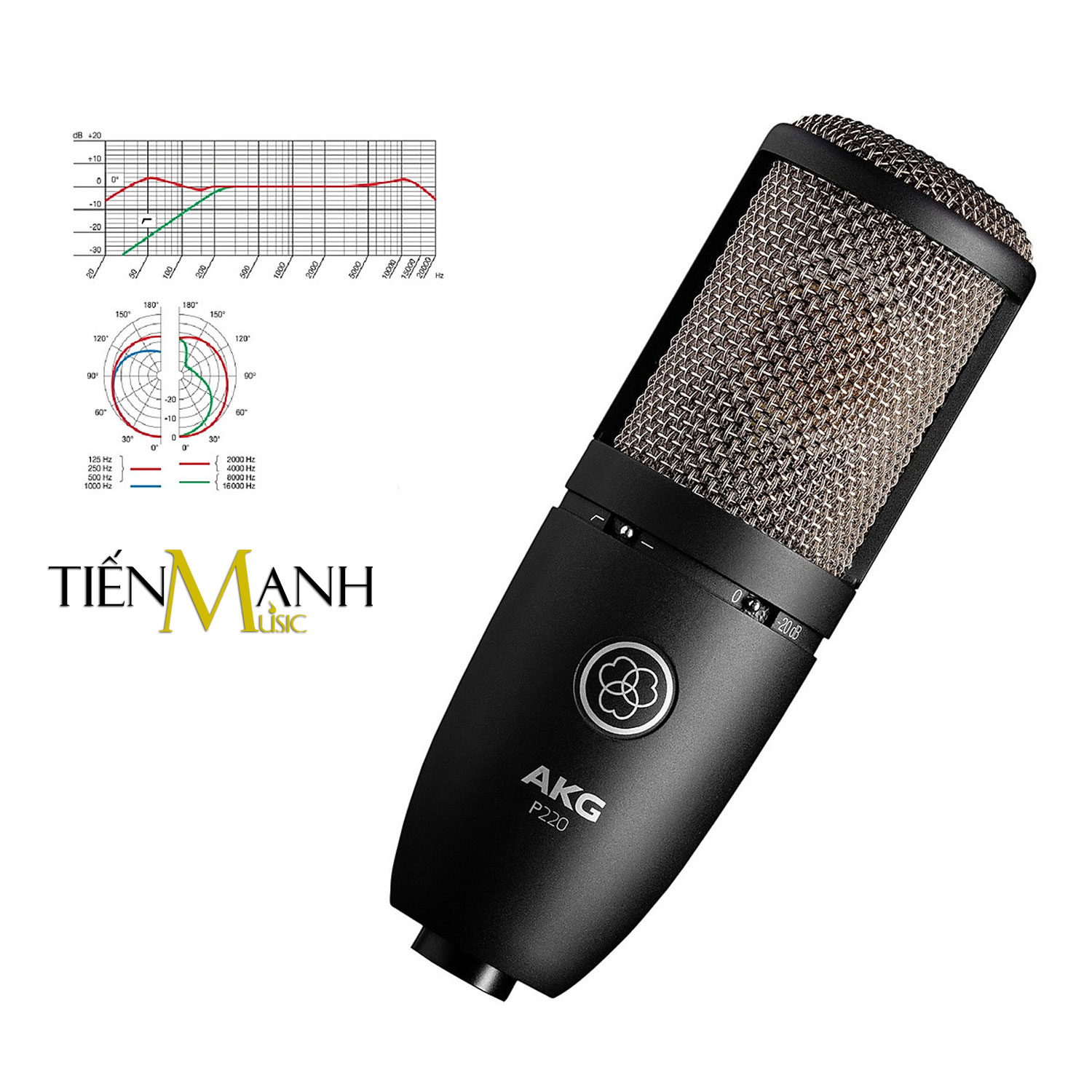 [Tặng Cable] Micro AKG P220 Mic Condenser Thu Âm Phòng Studio, Biểu Diễn Chuyên Nghiệp, Microphone Vocal Cardioid Hàng Chính Hãng