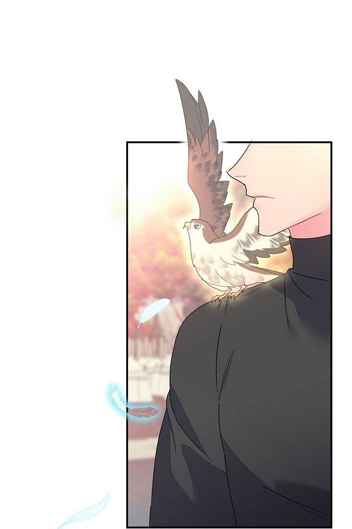 công chúa của loài chim chapter 44.2 9