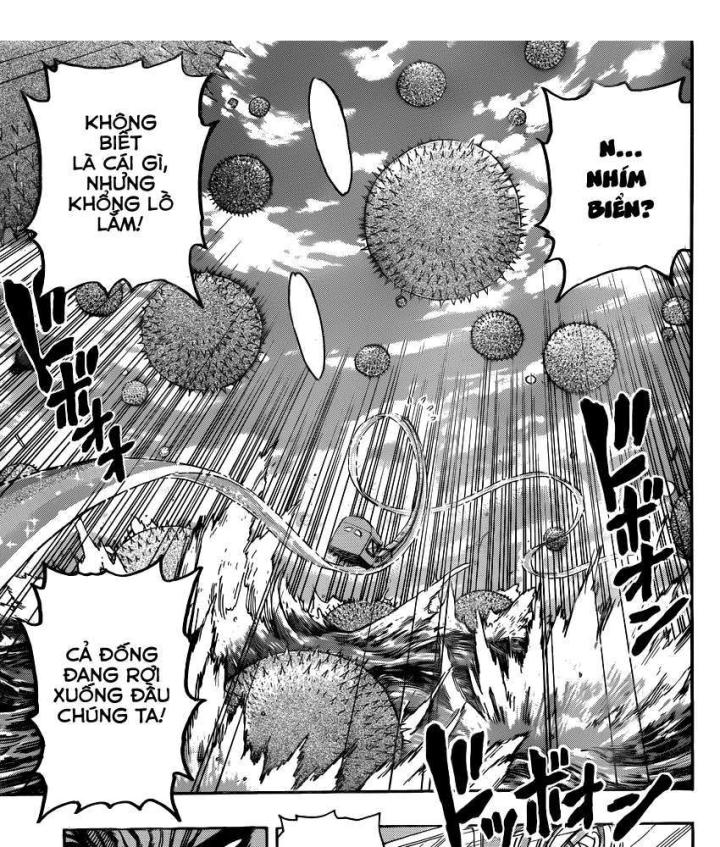 thánh tỏi sành ăn chapter 296 12