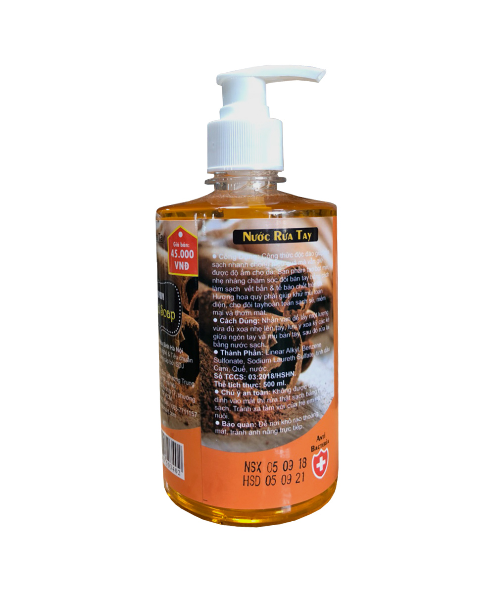 Combo 2 chai nước rửa tay Hand Soap 500ml Hương Cam Quế