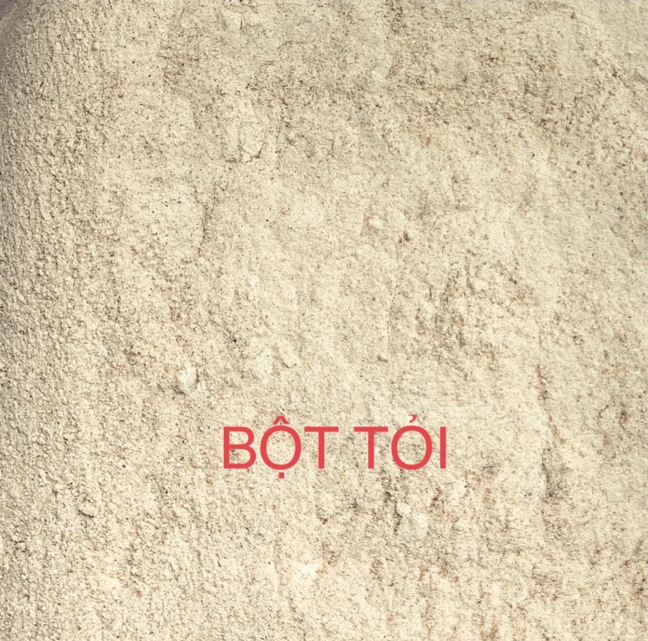 Bột tỏi 100gr nguyên chất gia vị Hoà Ký