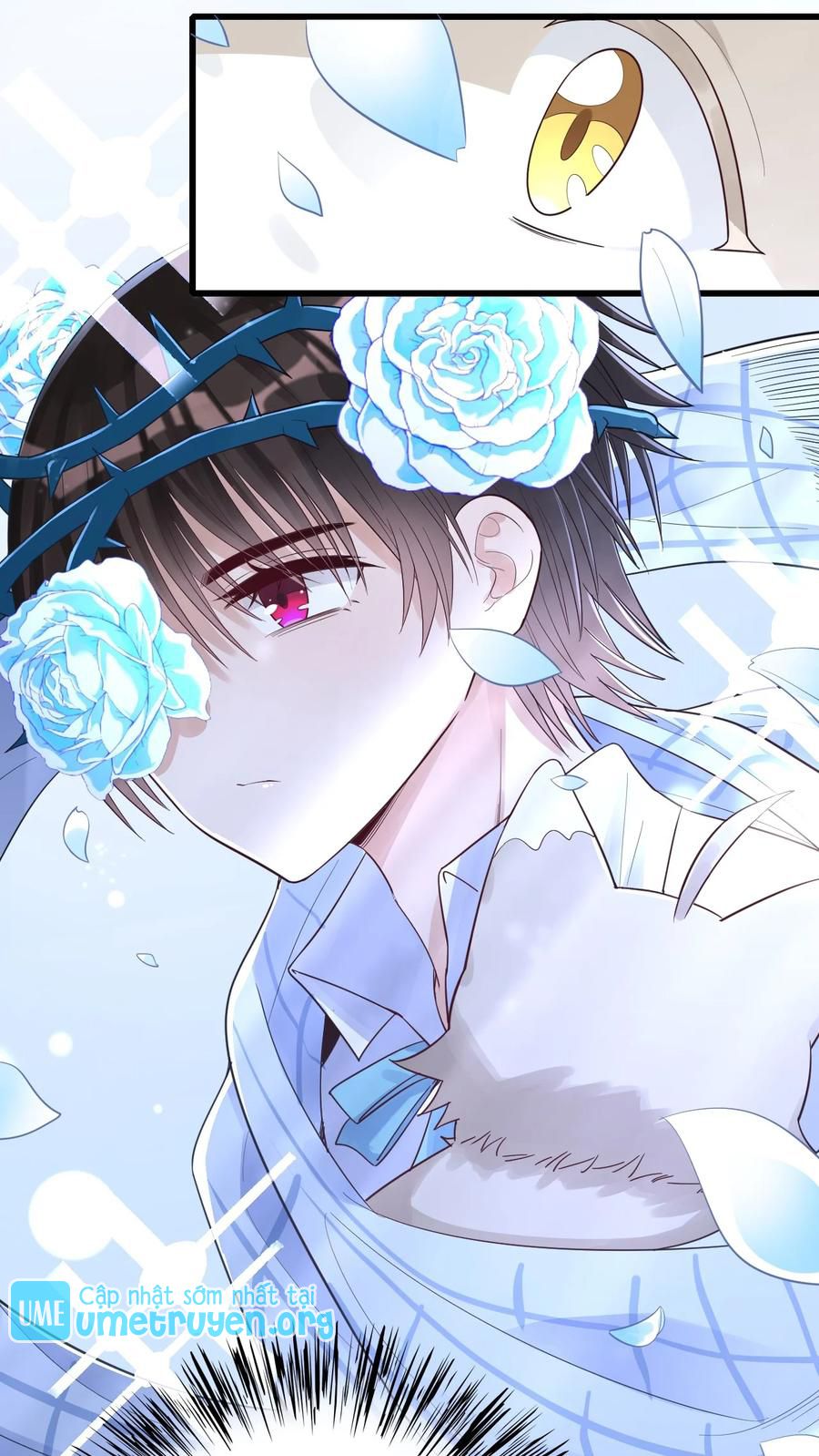 tức thời phạm quy [ tức thì vi quy ] chapter 27 13