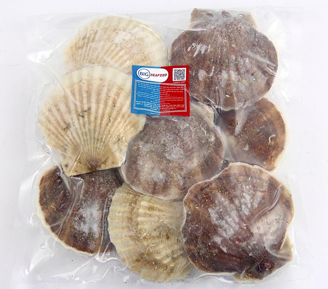 SÒ ĐIỆP NGUYÊN CON 7-10 CON/KG