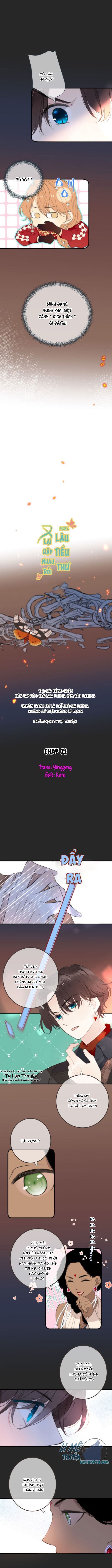 lại gặp nhau rồi, lâu tiểu thư chapter 21 1