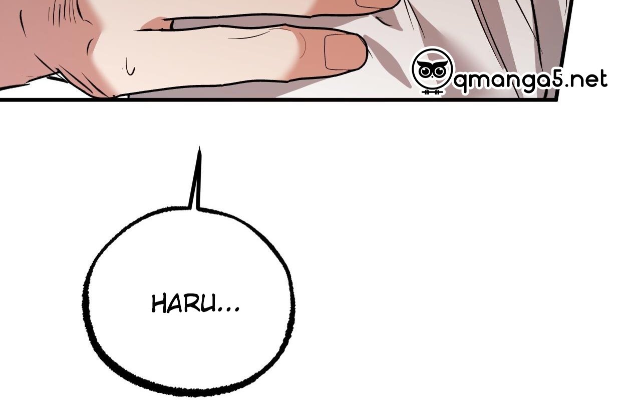 những chú thỏ của hapypy chapter 61 38