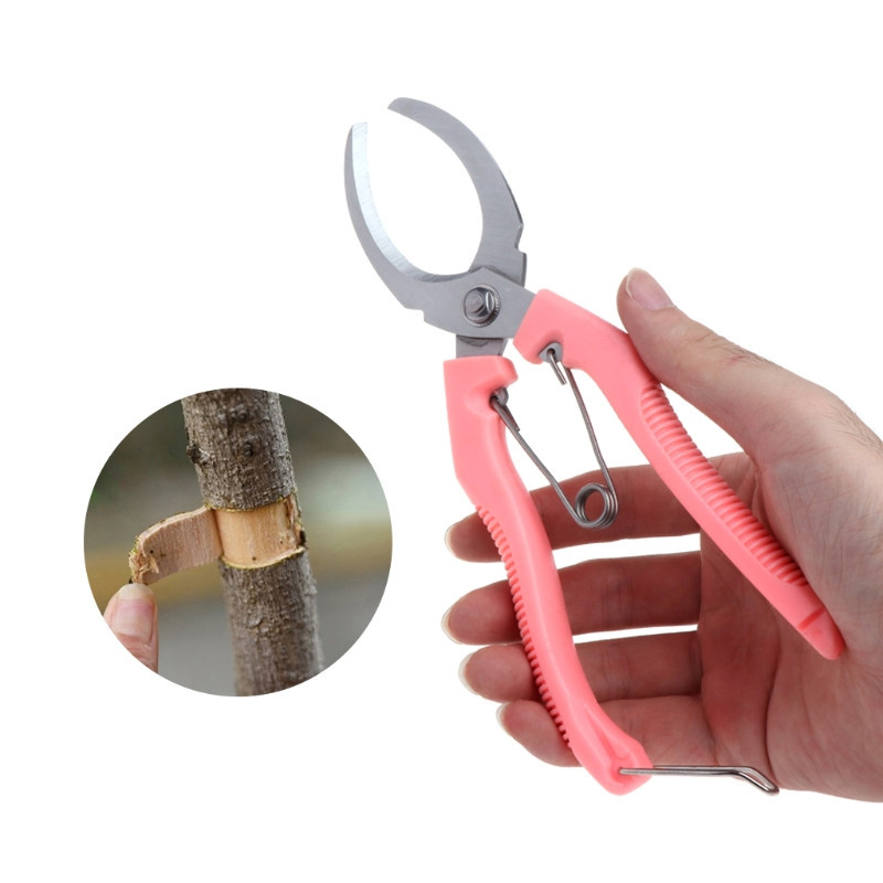 Kéo khoanh vỏ cây lưỡi rộng 4,5cm