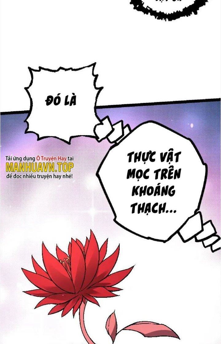 từ cây cổ thụ bắt đầu tiến hóa chapter 25 15