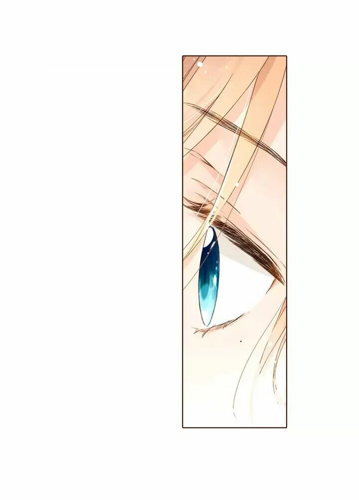 Tình yêu là màu hoa anh thảo chapter 29.3 52