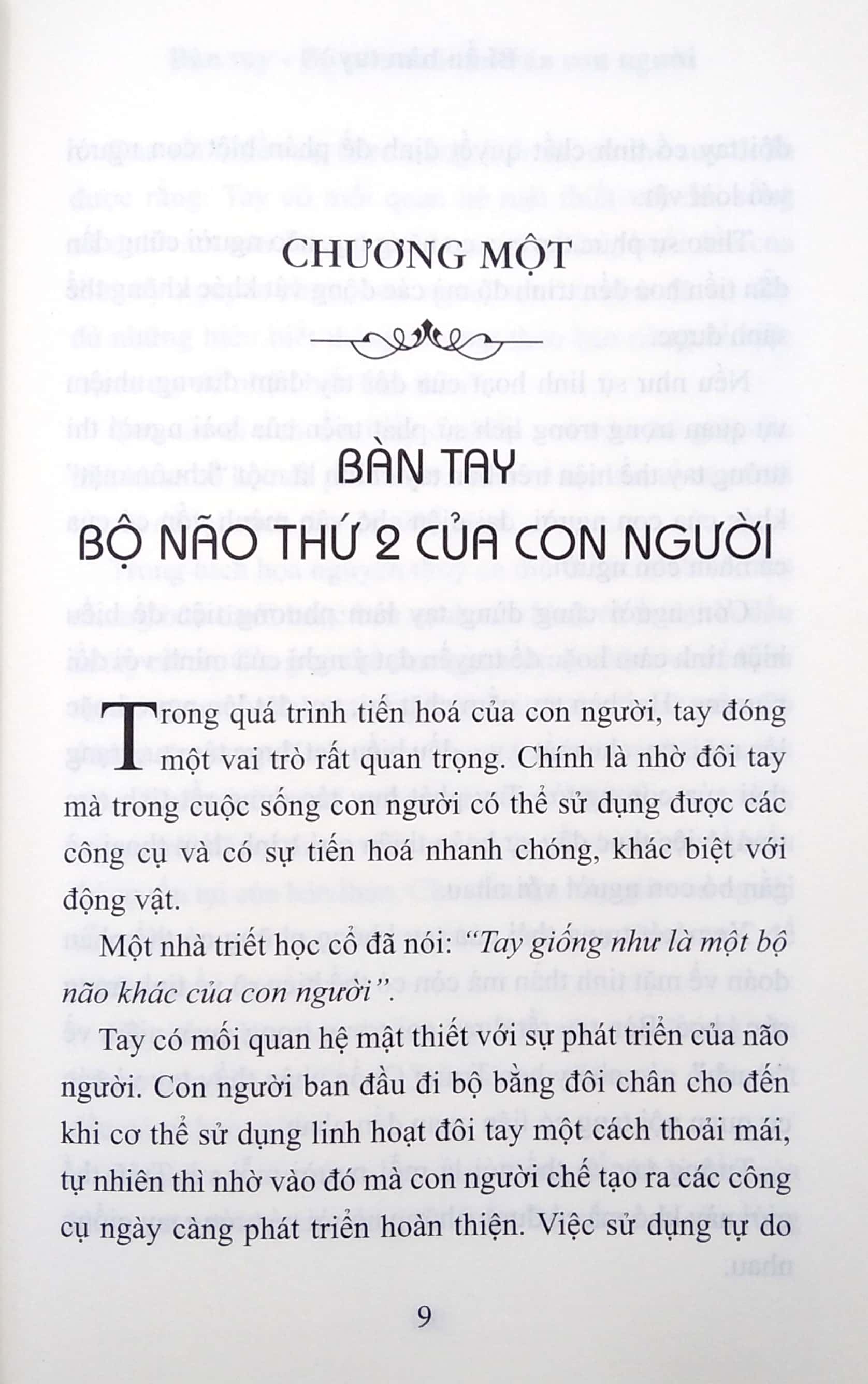 Bí Ẩn Bàn Tay (Tái Bản)