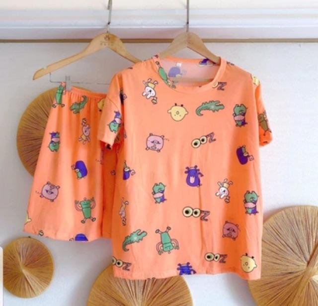 Bộ quần áo in hình kute 3màu