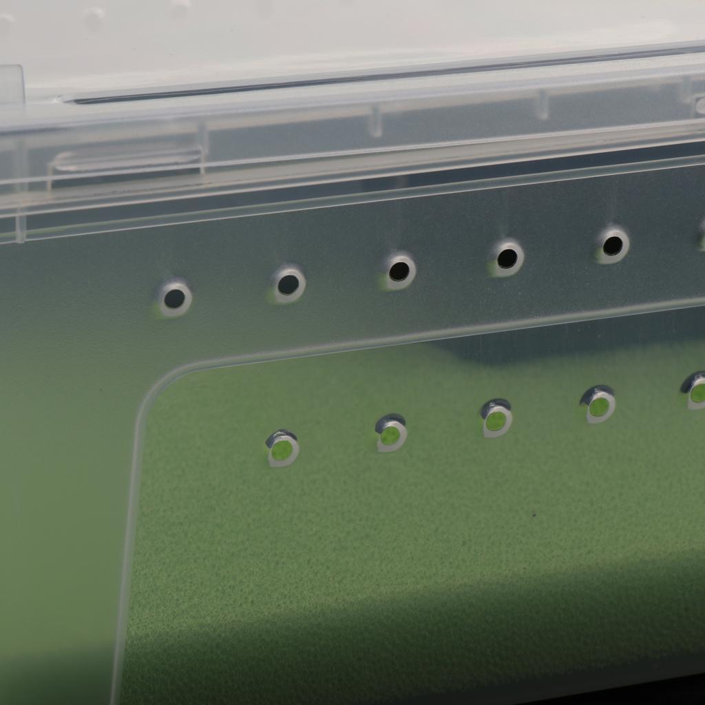 Reptile Amphibian Habitat Terrarium Vivarium Breeding Box