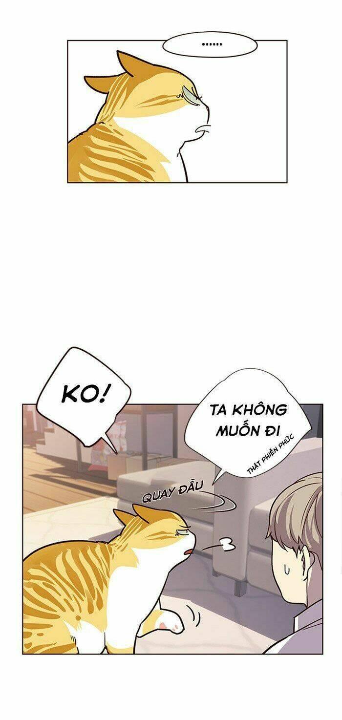 biến thân thành mèo chapter 10 30