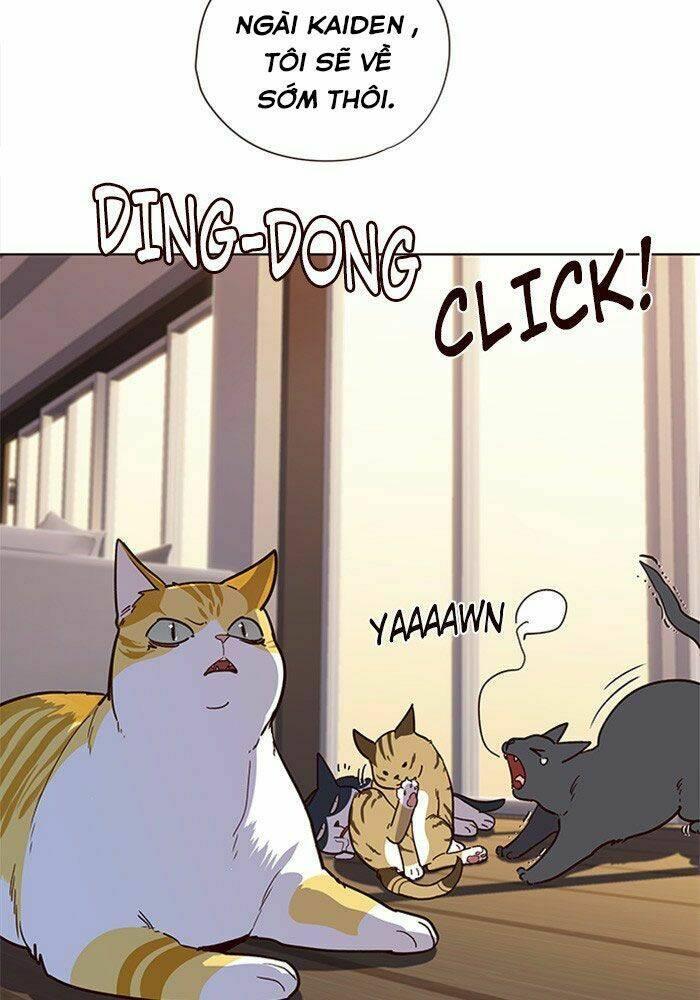 biến thân thành mèo chapter 11 81
