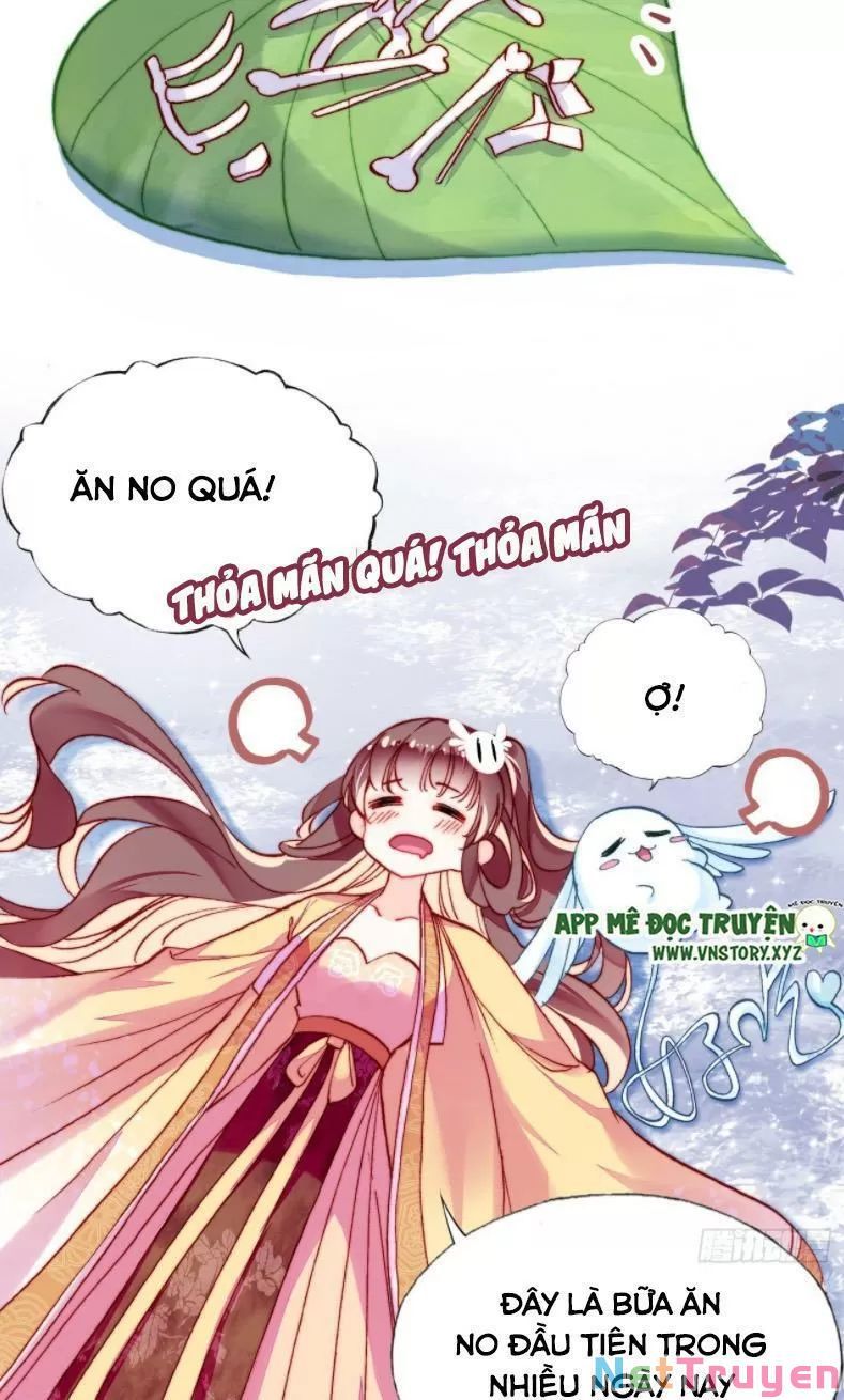 lại bị bệnh chiều chuộng quấn lấy chapter 12 39