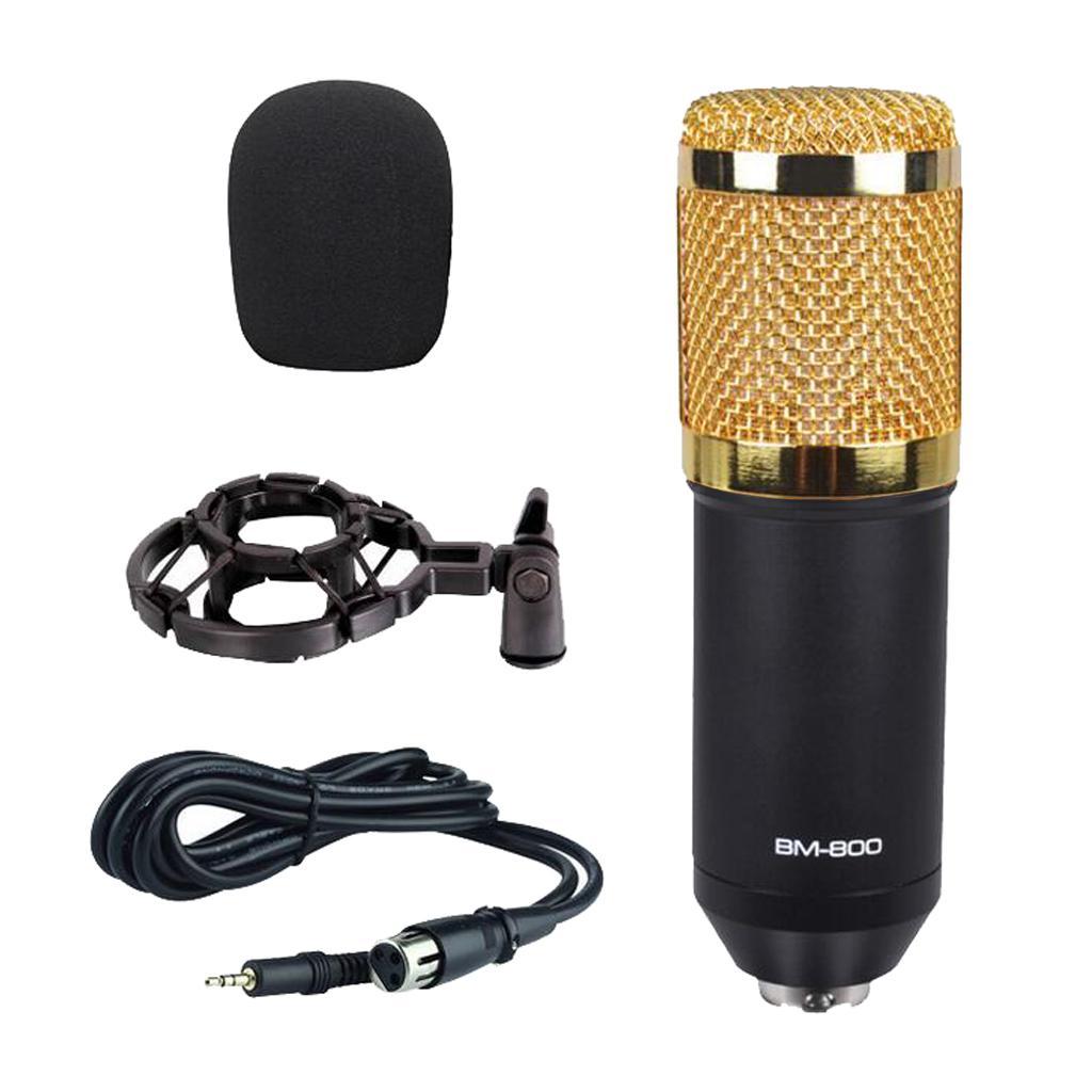 Cute Karaoke Microphone for Singing for Karaoke Singing Audio Studio Recording