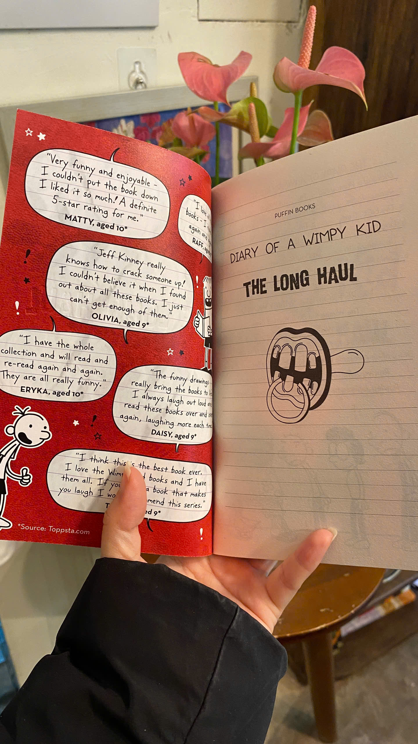 Sách - Diary of a Wimpy Kid: The Long Haul by Jeff Kinney | Children’s Book / Ngoại văn Thiếu nhi