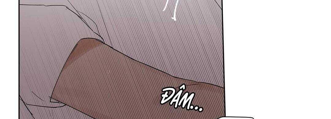 guide cấp b chapter 41 202