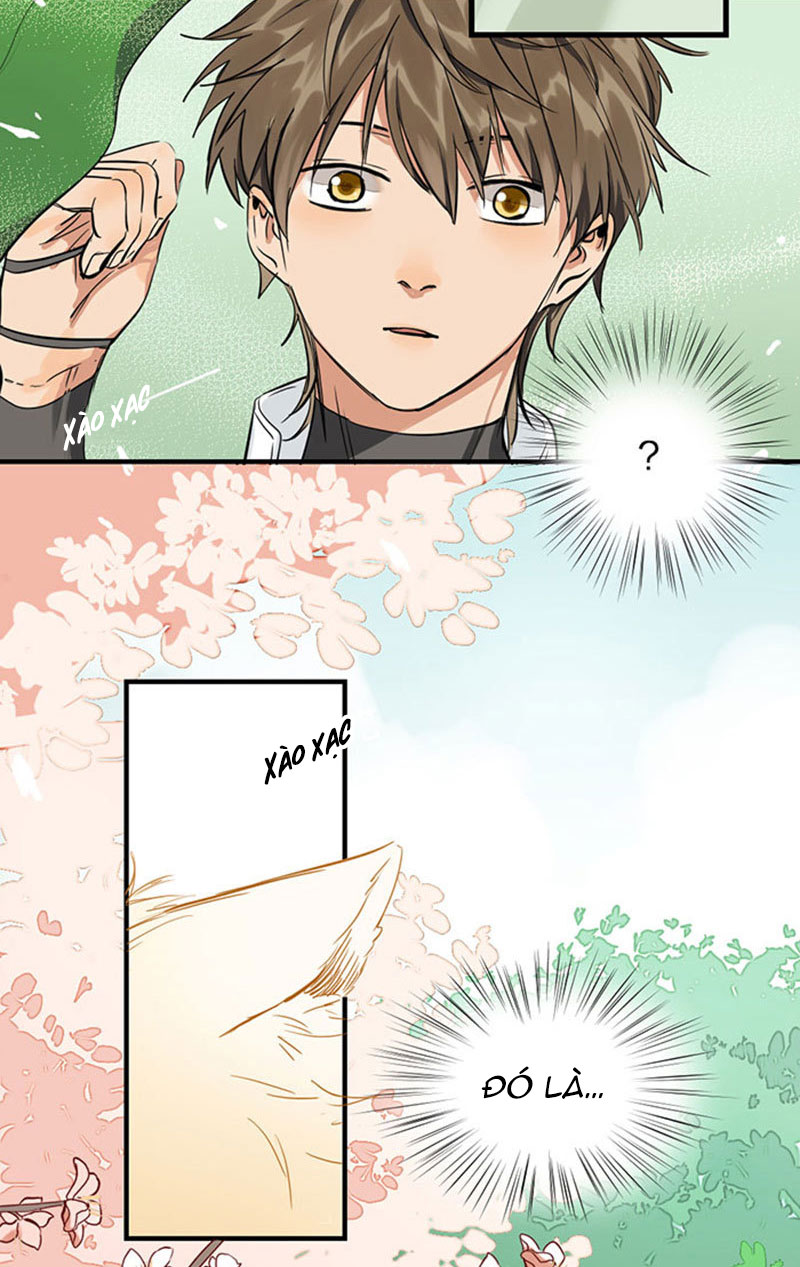 lục châu ca đầu chapter 1 14