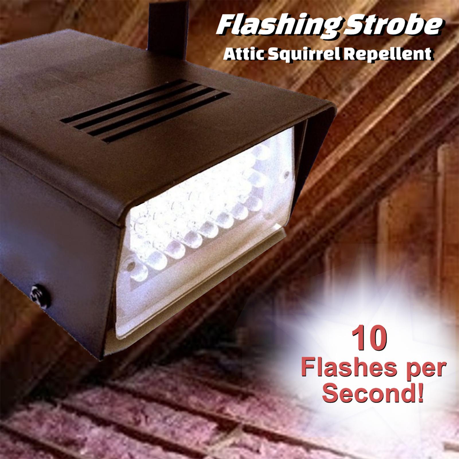 Máy phát sáng nhấp nháy bằng ánh sáng thân thiện giúp xua đuổi sóc