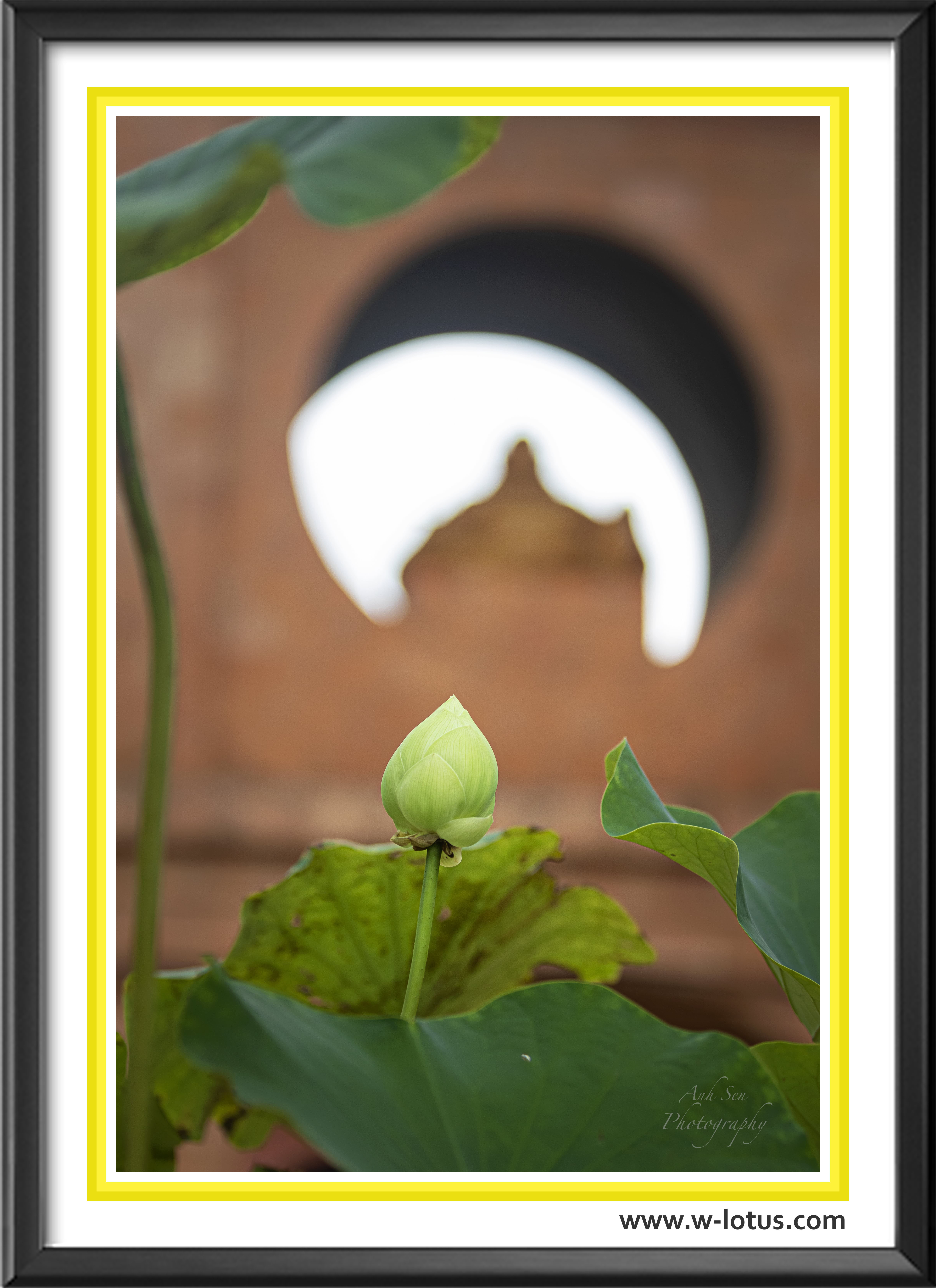 Tranh canvas hoa Sen treo phòng khách ST-00013