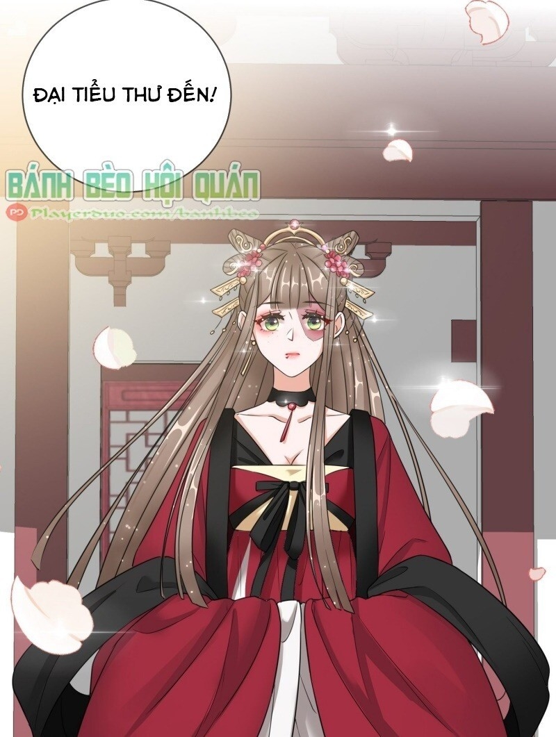 công lược trưởng thành của vương phi chapter 12 30