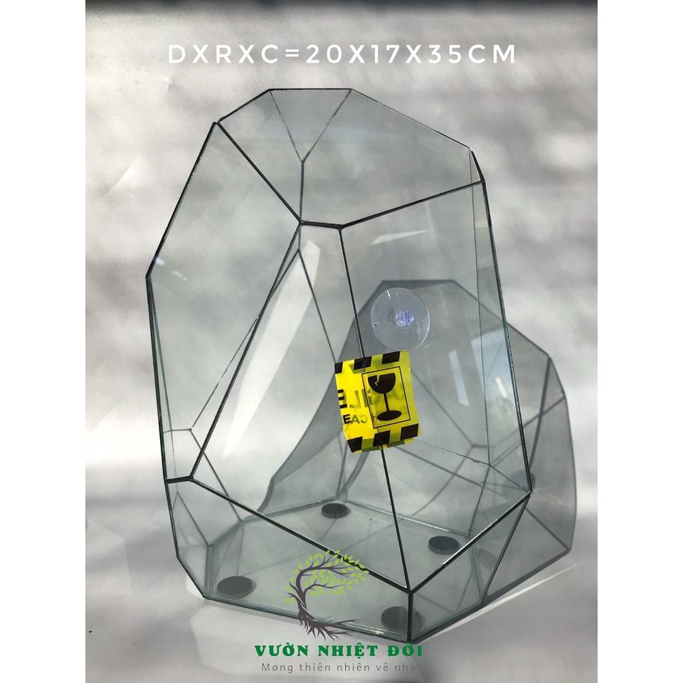 Bể Terrarium Đa Giác Setup Bán Cạn Để Bàn Làm Việc