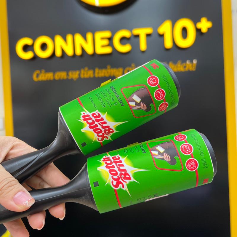 Cây lăn bụi Scotch Brite
