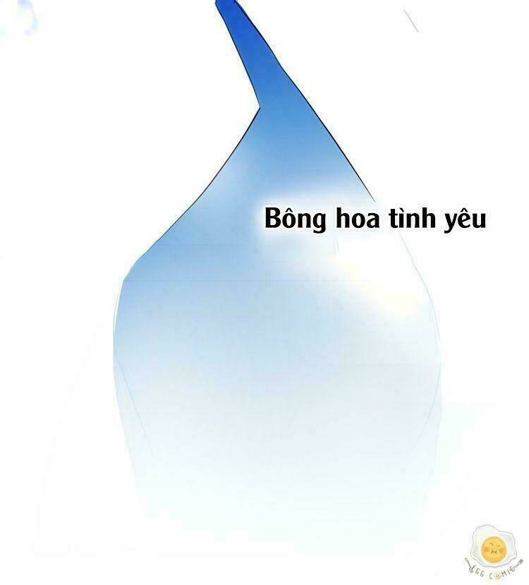 nở rộ trên bụi gai chapter 1 11