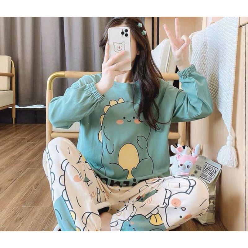 Đồ bộ nữ tay dài in hình họa tiết dễ thương,phù hợp mang mùa thu đông