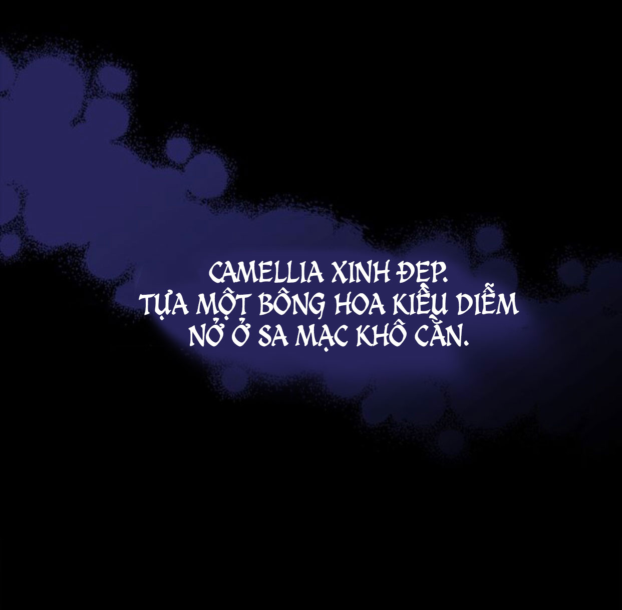 đi tìm nàng camellia chapter 1 25