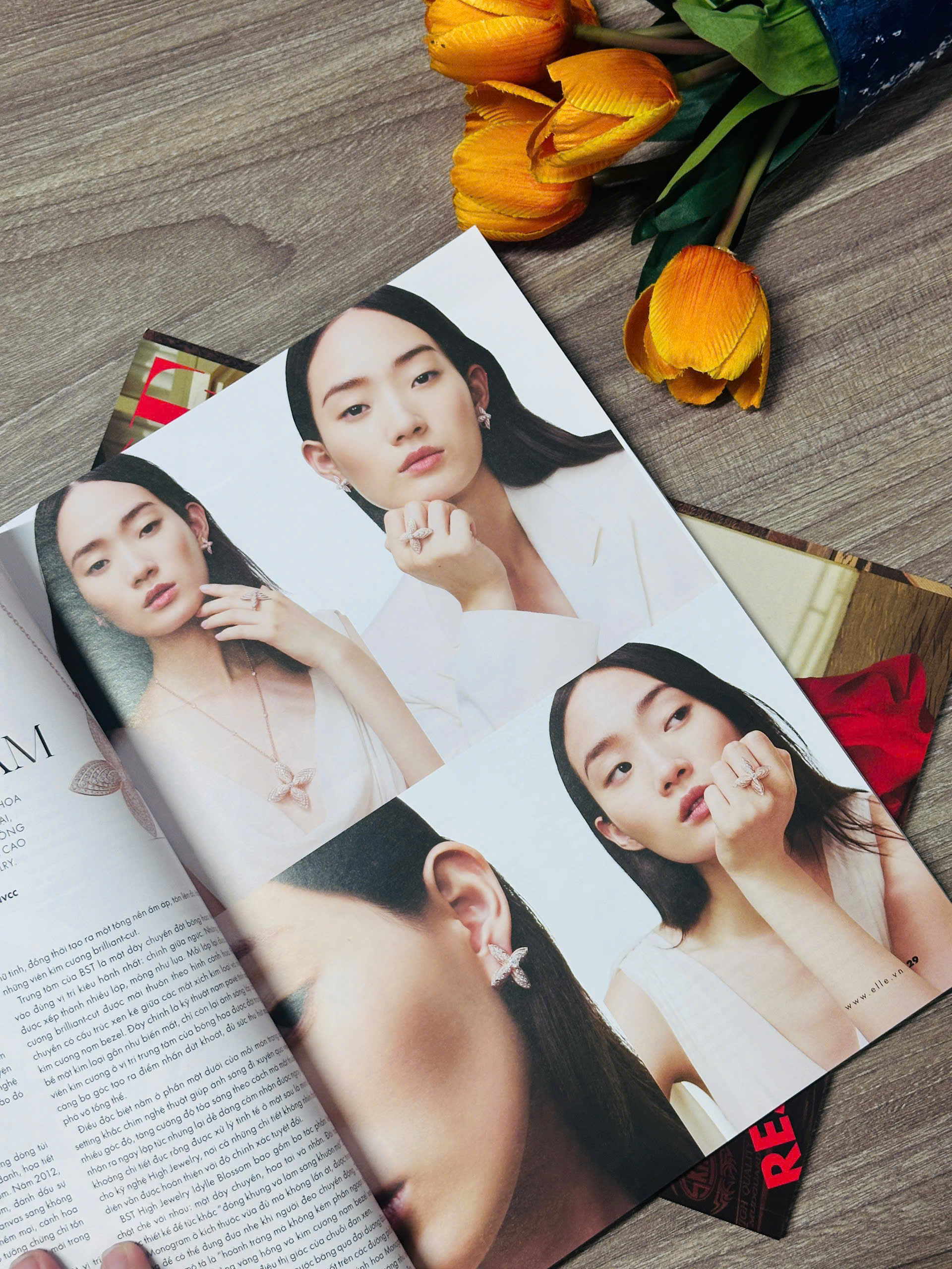Tạp chí Phái đẹp ELLE 2026 – THE BIG FASHION RESET