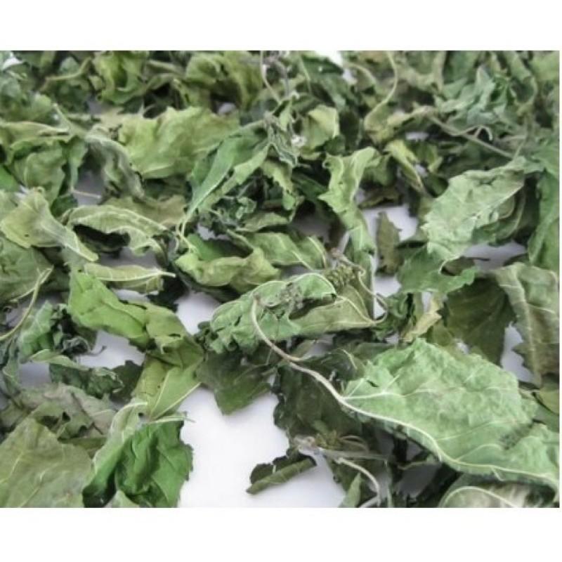 Cây lá lốt phơi khô túi 1kg