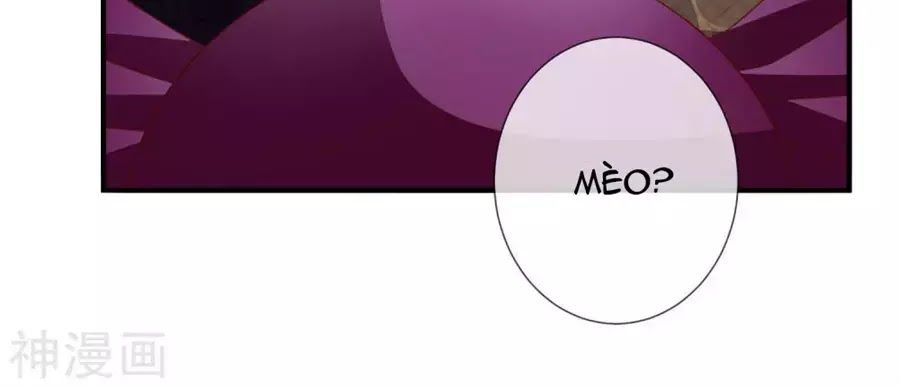 cuộc sống hào môn của vu nữ chapter 43 85