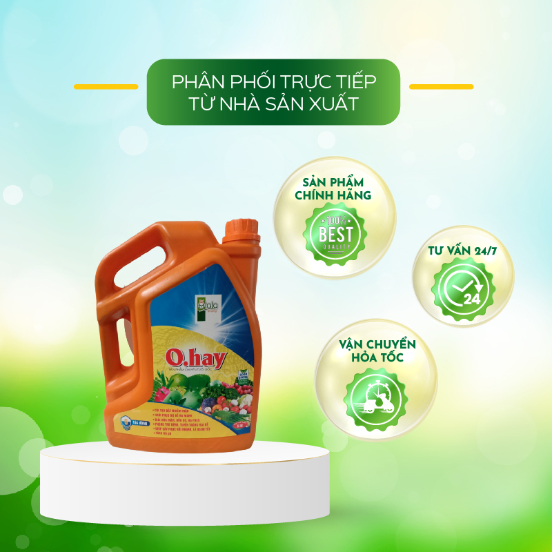 Phân bón sinh học giúp cải tạo phục hồi đất - Phân bón hữu cơ O.hay 5 lit