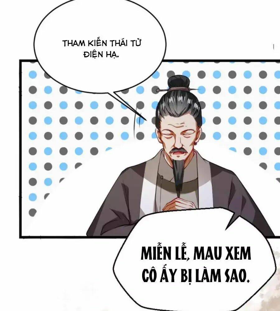 thái tử điện hạ, nô tài có hỉ rồi chapter 27 49
