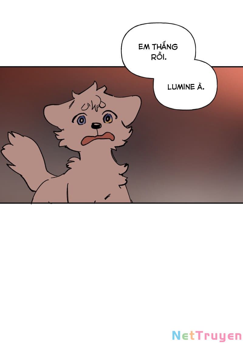 lumine - cội nguồn ánh sáng chapter 113 49