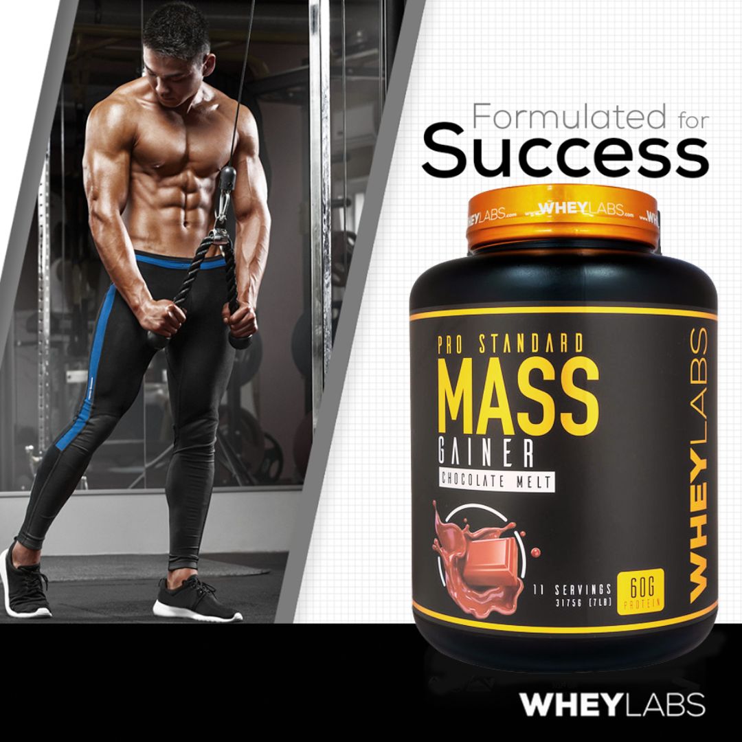 COMBO 2 hũ Sữa tăng cân và tăng cơ Wheylabs Pro Standard Mass 7lbs (3.1kg) – Vị Chocolate Melt – TẶNG KÈM 1 Shaker