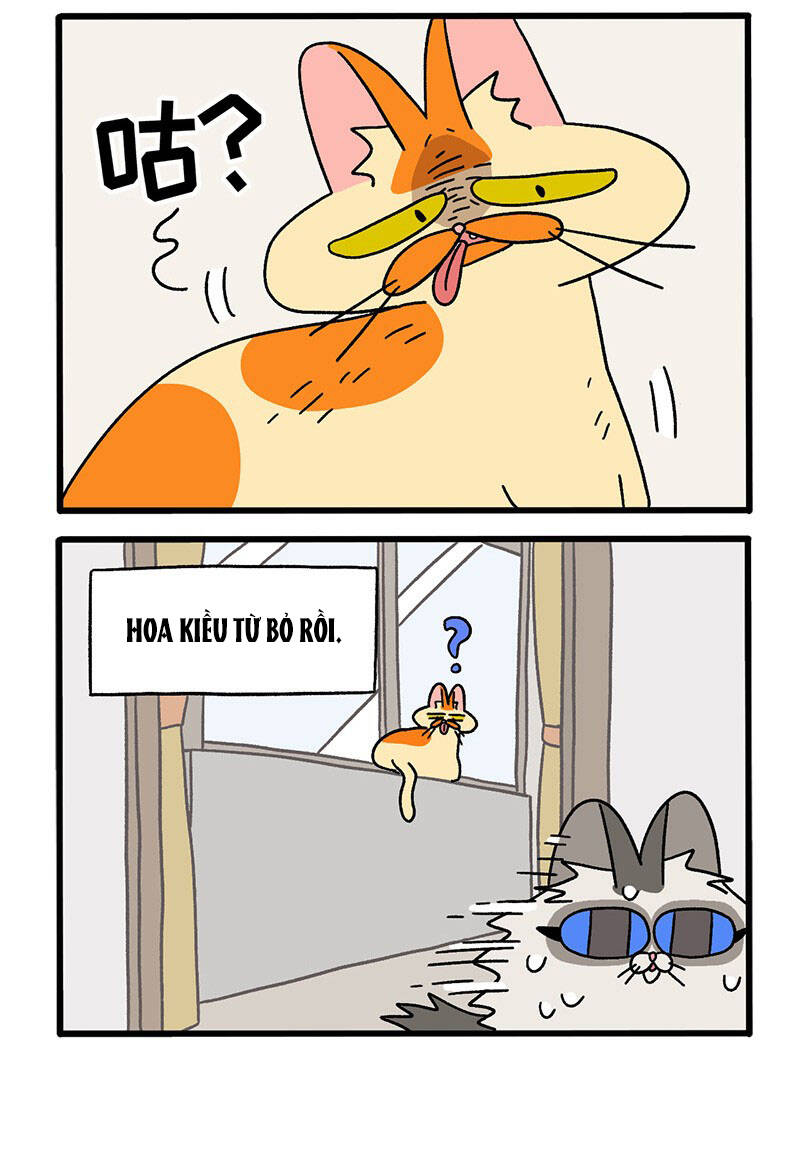 a mãn và mạch trà chapter 39 4