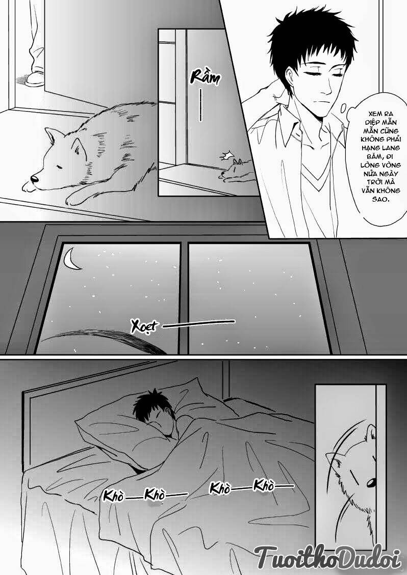 sự mê hoặc của sói chapter 9 15